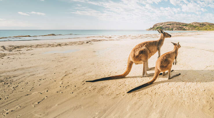 Cottesloe Beach, Perth, Australie occidentale