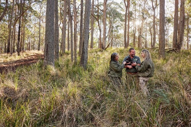 Staff in a forrest with an animal