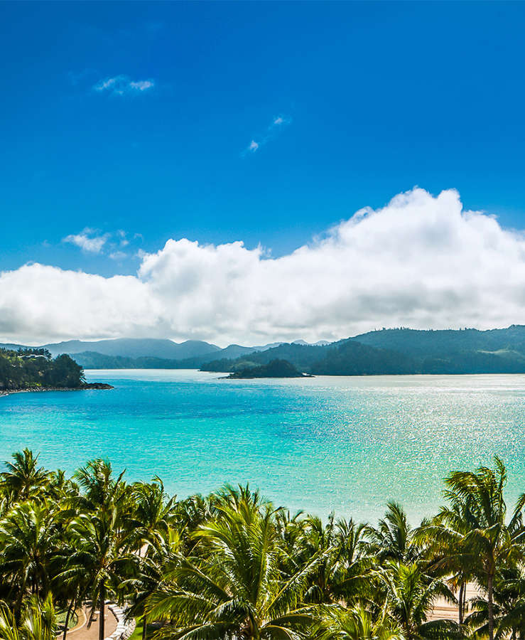 Catseye Beach Hamilton Island with palm trees