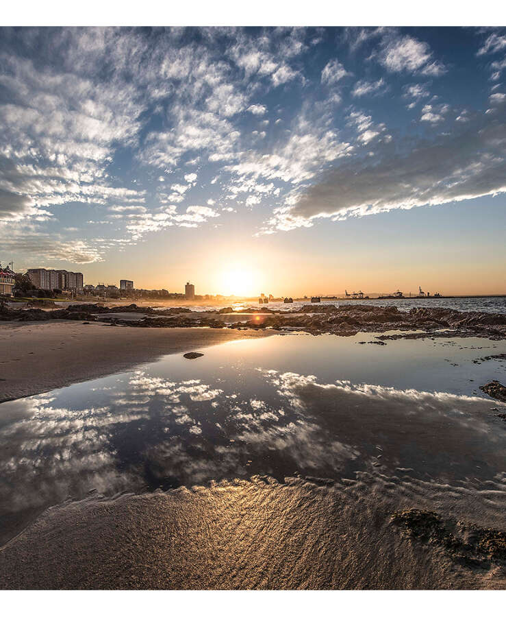 Port Elizabeth View Of City At Sunset