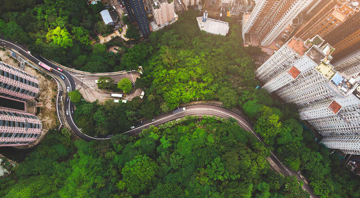 Aerial view of curve road in forest against buildings in Hong Kong