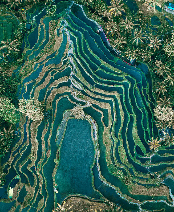 Aerial view of rice terraces, Tegallalang, Bali, Indonesia