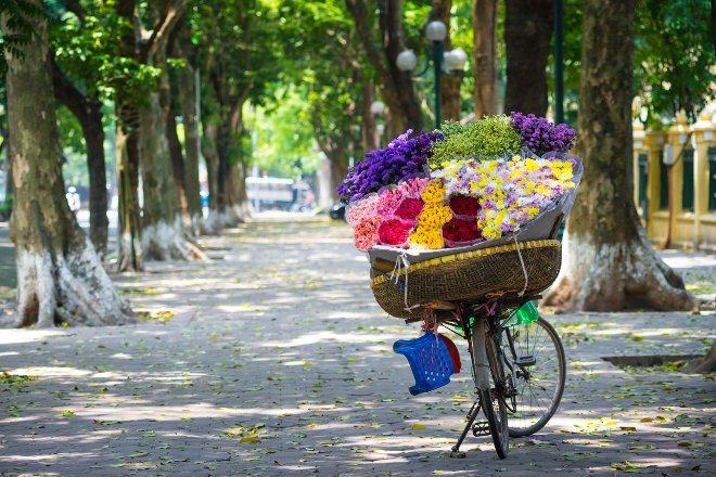 Flower vendor on bicycyle