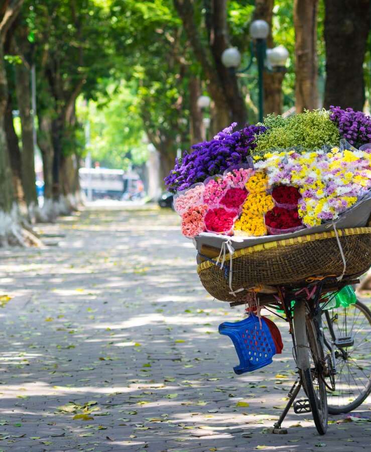 Flower vendor