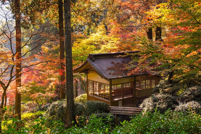 temple in autumn trees