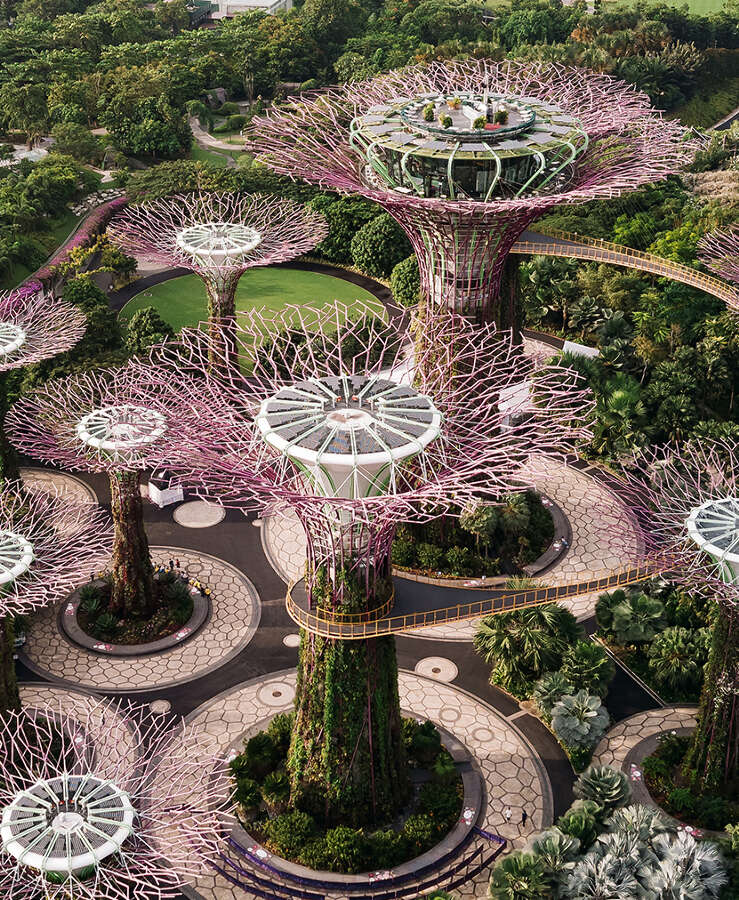 Aerial view of the botanical garden, Gardens by the Bay in Singapore.