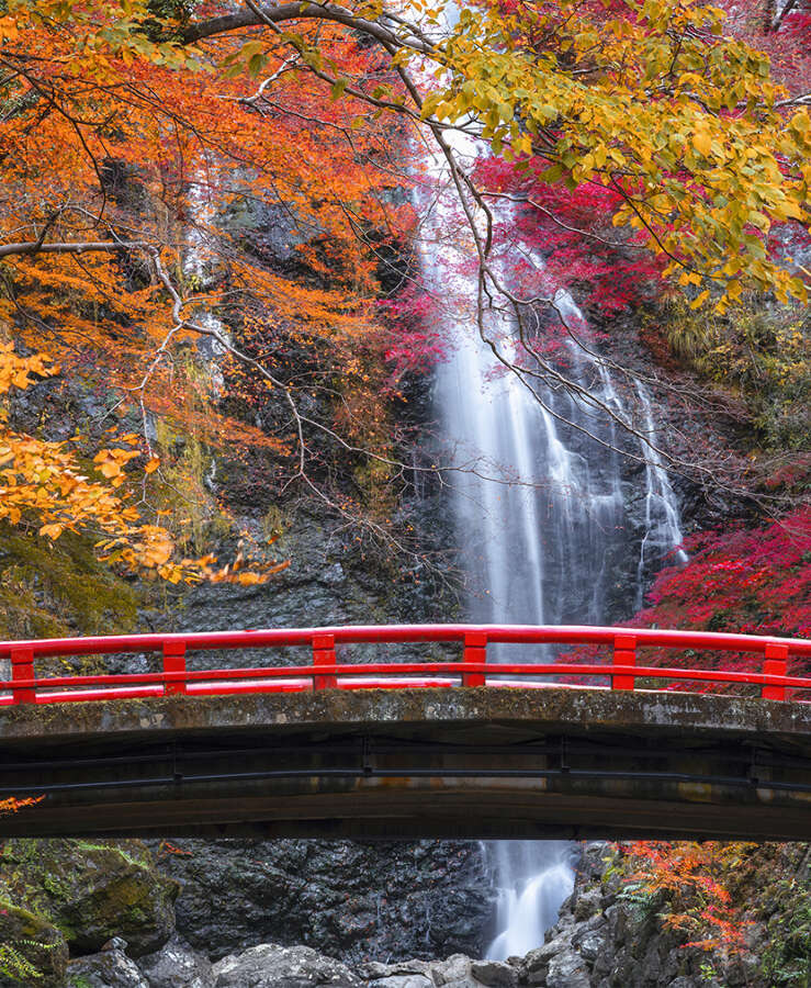 Japan Osaka Red-Bridge Autumn Red Leaves