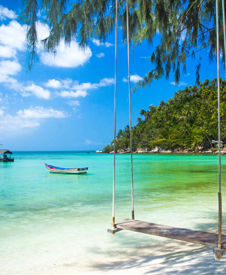 Tropical beach with swin under palm trees