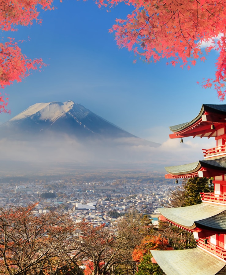 Cherry blossom in front of Mt Fuji with a red temple