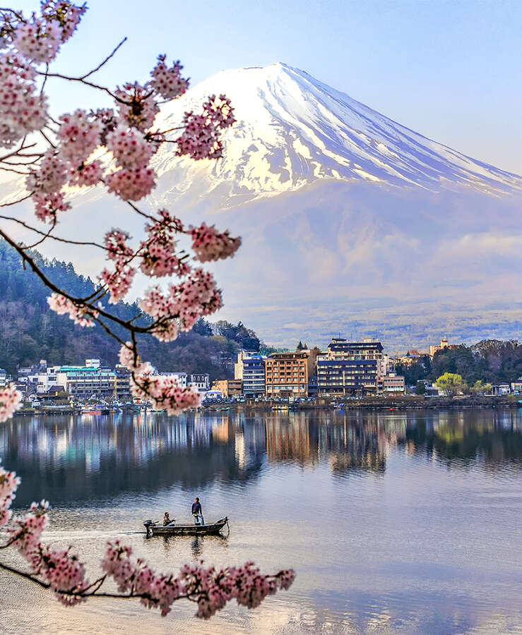 Mt Fuji Japan and Cherry Blossoms