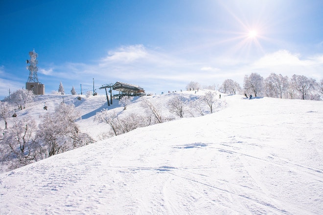 Snowboarder in New Zealand