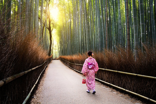 Japanese geisha walking in Osaka