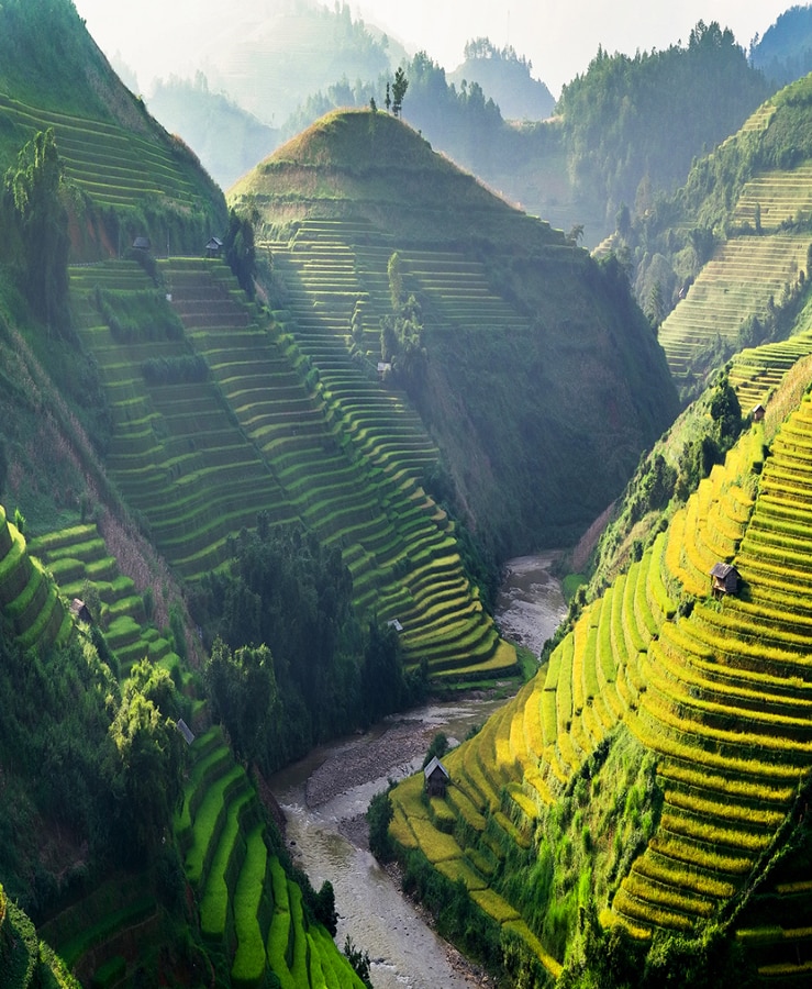 Rice fields, MuCangChai