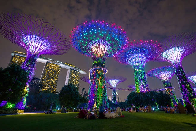 Supertree Grove Marina Bay Singapore