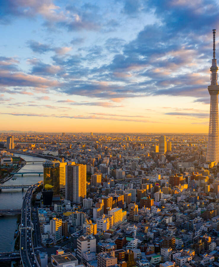 Tokyo Cityscape with Tokyo Sky Tree visible in Tokyo city, Japan on sunrise