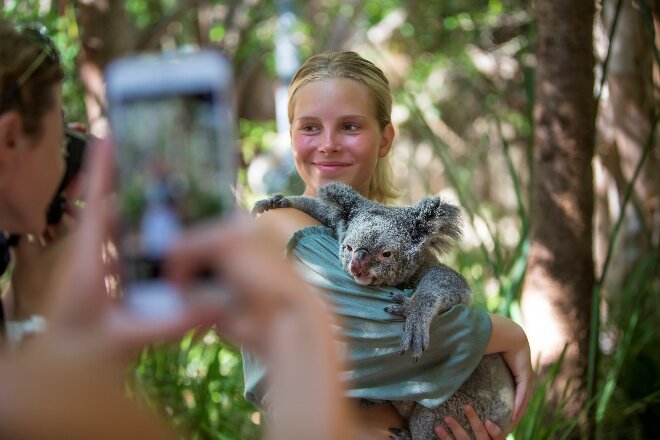 Woman holding Koala