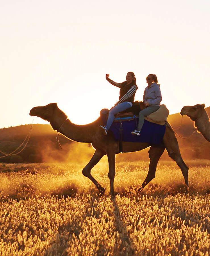 Alice Springs camel tour