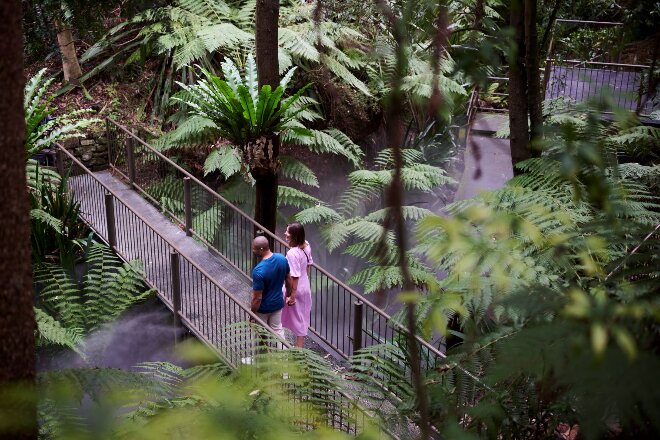 Visiting Australian National Botanic Gardens