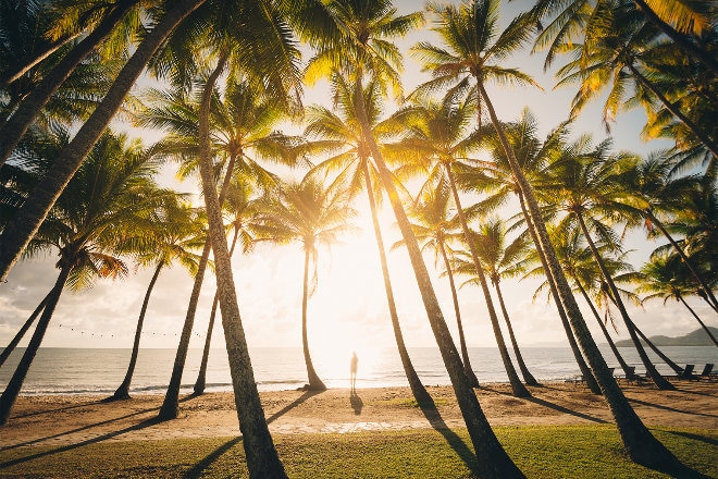 Sunrise at Palm Cove