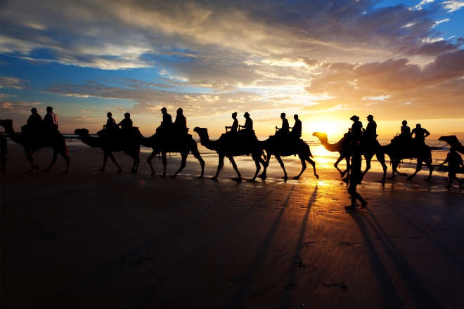 Camel rides on Cable Beach