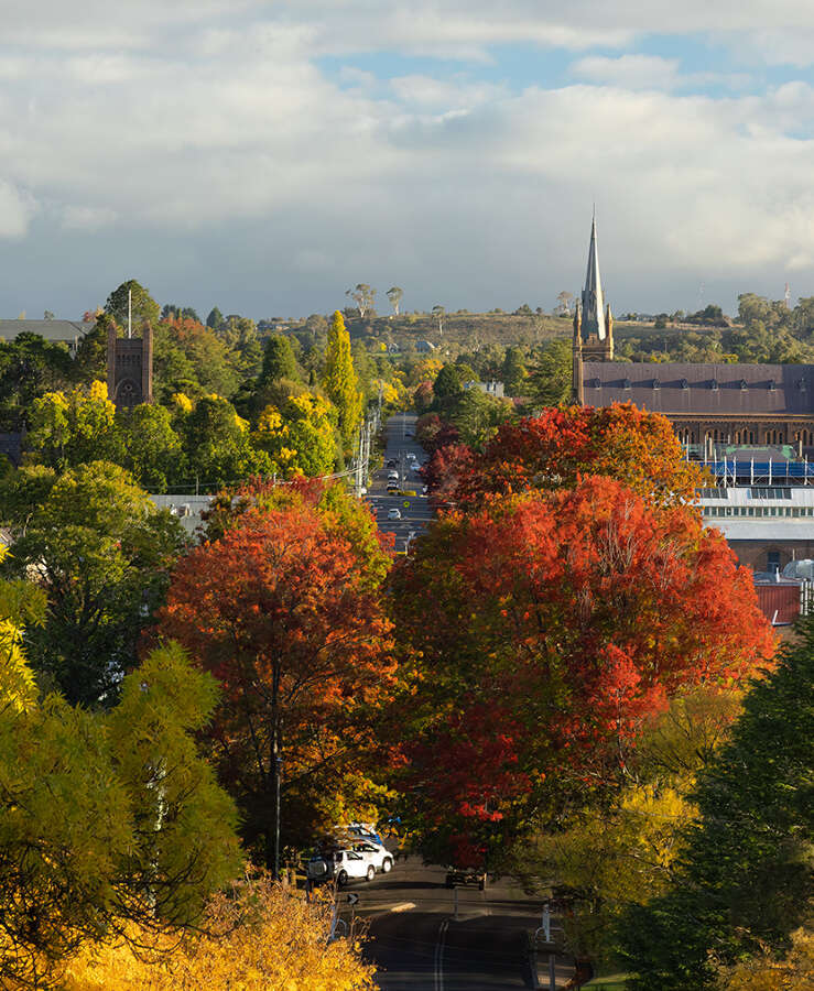 Danger Street, Autumn, Armidale City