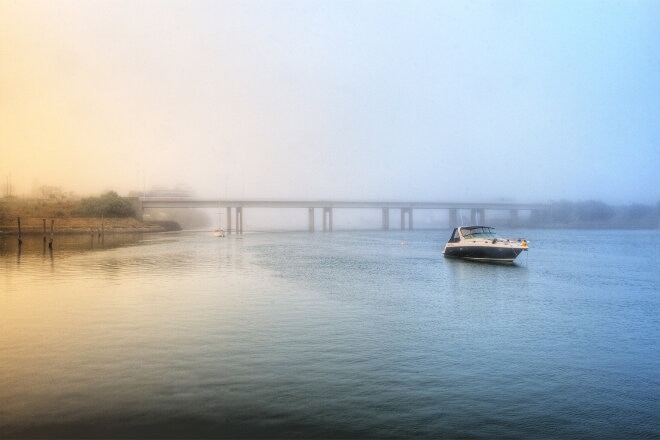 Devonport mist