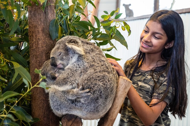 Girl patting a koala