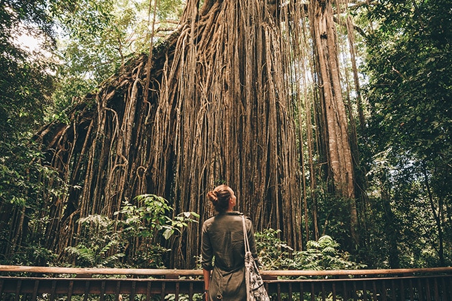 Girl in Cairns rainforest