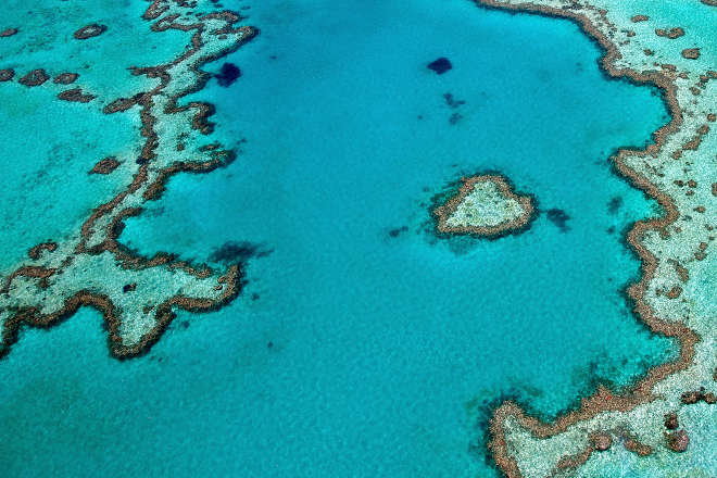 Aerial view of coral reef in Hamilton Island