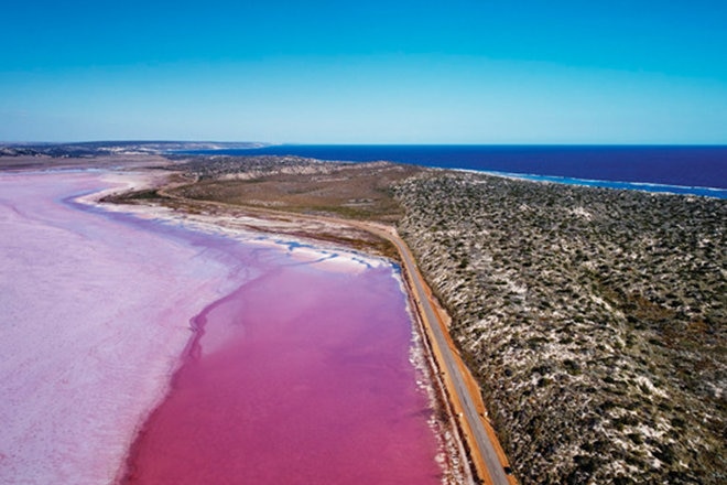 Pink lake