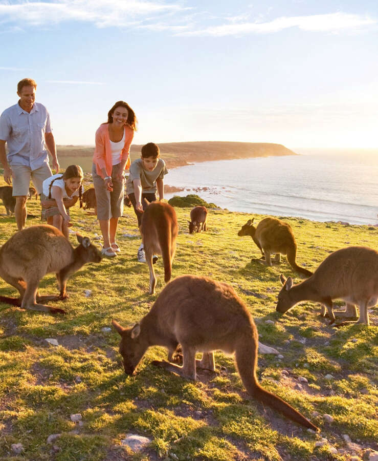 Kangaroo Island. Image credit : Tourism Australia