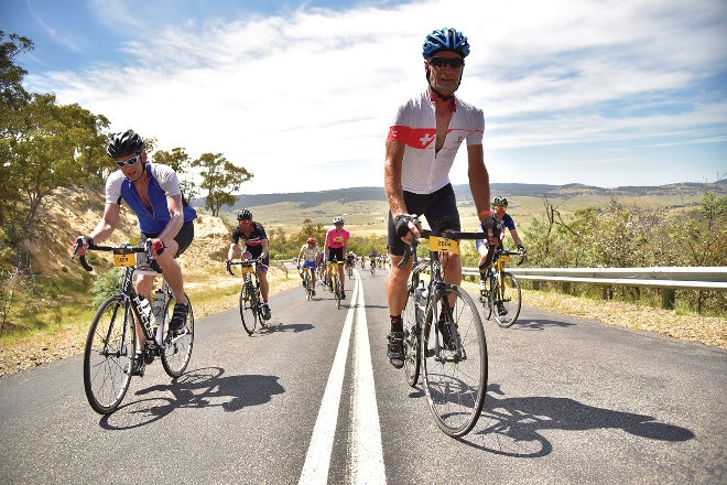 Cyclists on open road