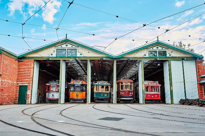 Bendigo trams