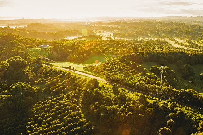 Byron Bay Hinterland