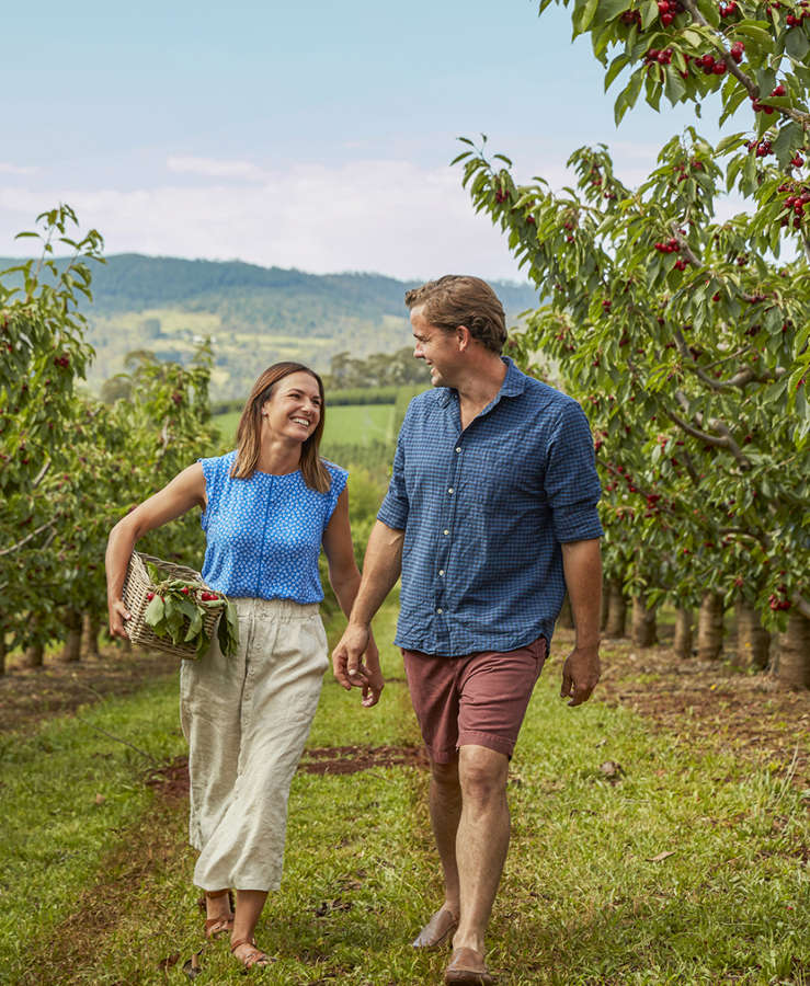 Couple walking along a cherry orchard