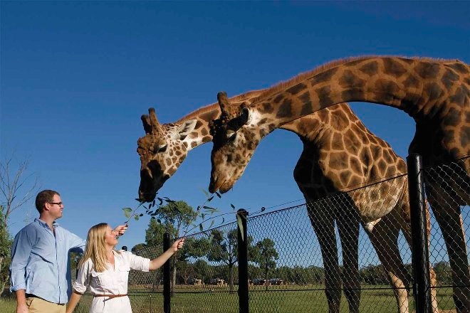 Western Plains Zoo, Dubbo