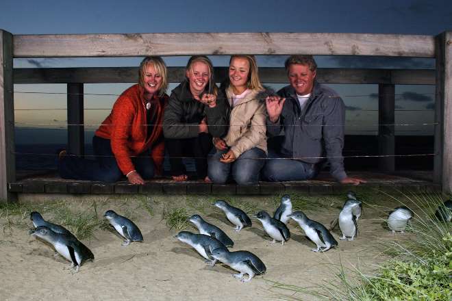 Penguin Parade on Philip Island