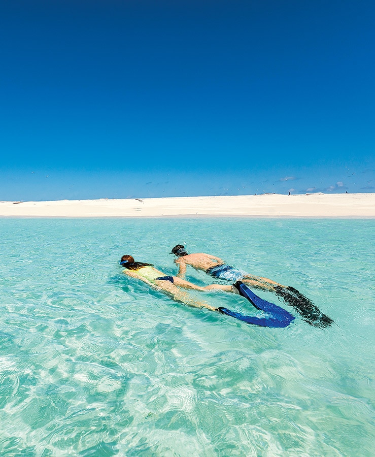 Couple snorkelling in aqua water