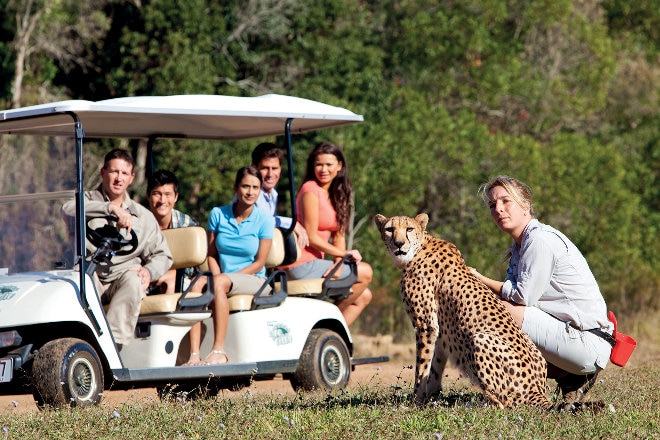 Tourists at Australia Zoo