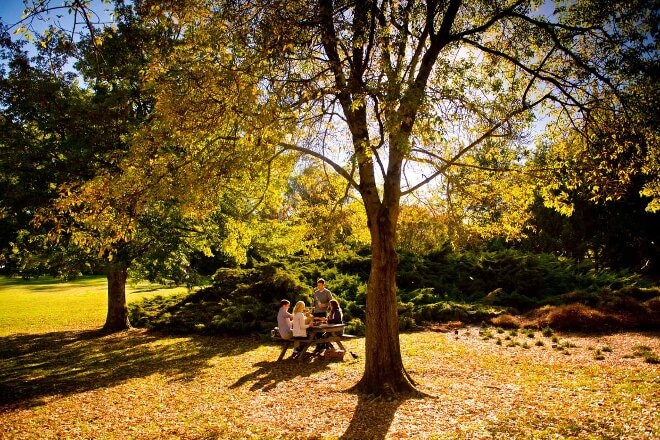 Mount Lofty Botanic Garden