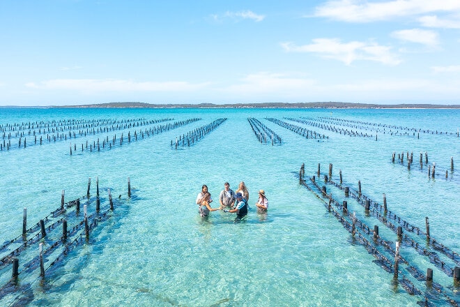 Coffin Bay oysters and clear water