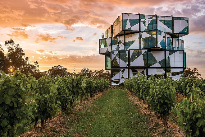 Couple in McLaren Vale