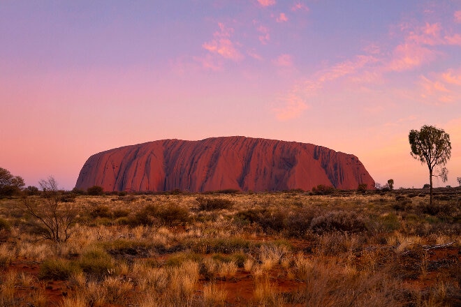 Uluru rock and pink sky