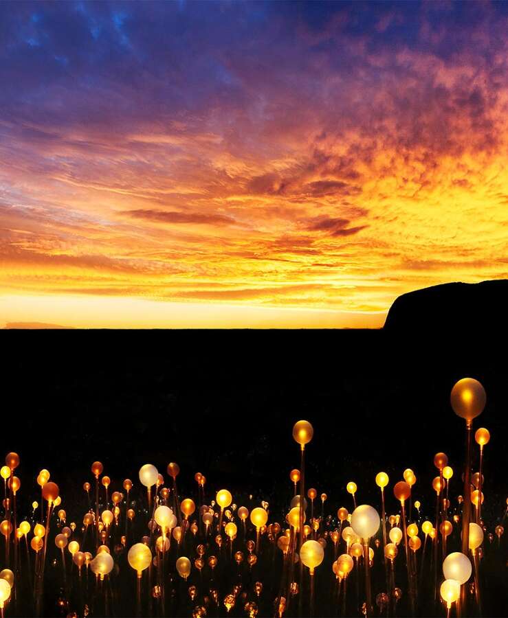 Field of Light, Uluru