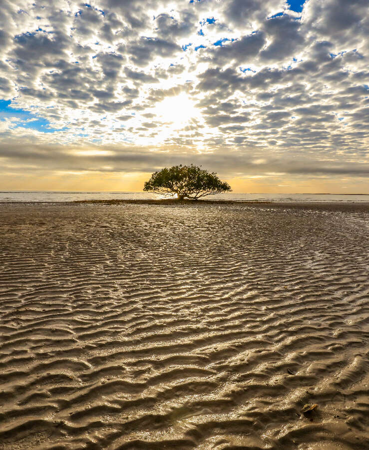 Beach sunset, Port Hedland, Western Australia