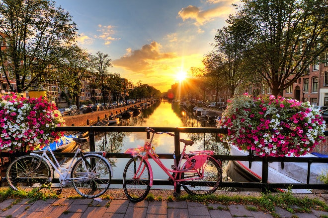 Colourful flowers and bikes on Amsterdam river