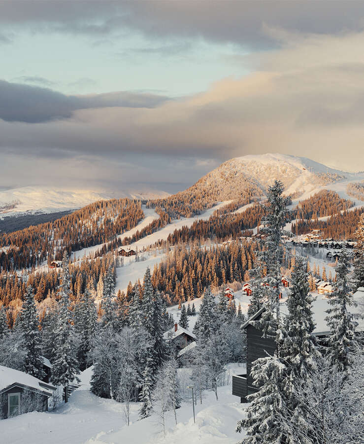 Winter landscape with cabins and snowy forest