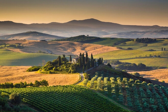 Vineyards and hills of Tuscany