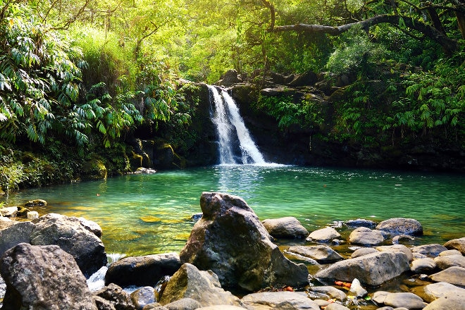 Waterfall streaming into lush green clear water over rocks