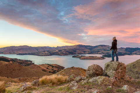 Hiker looking at view at sunrise, Littleton bay, New Zealand